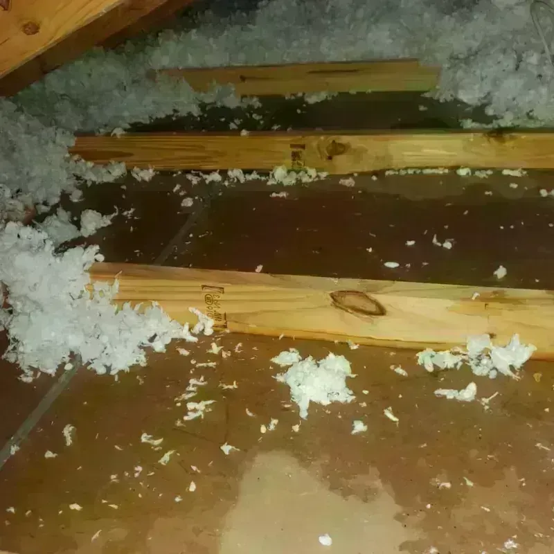 Attic Water Damage in Crestwood, IL