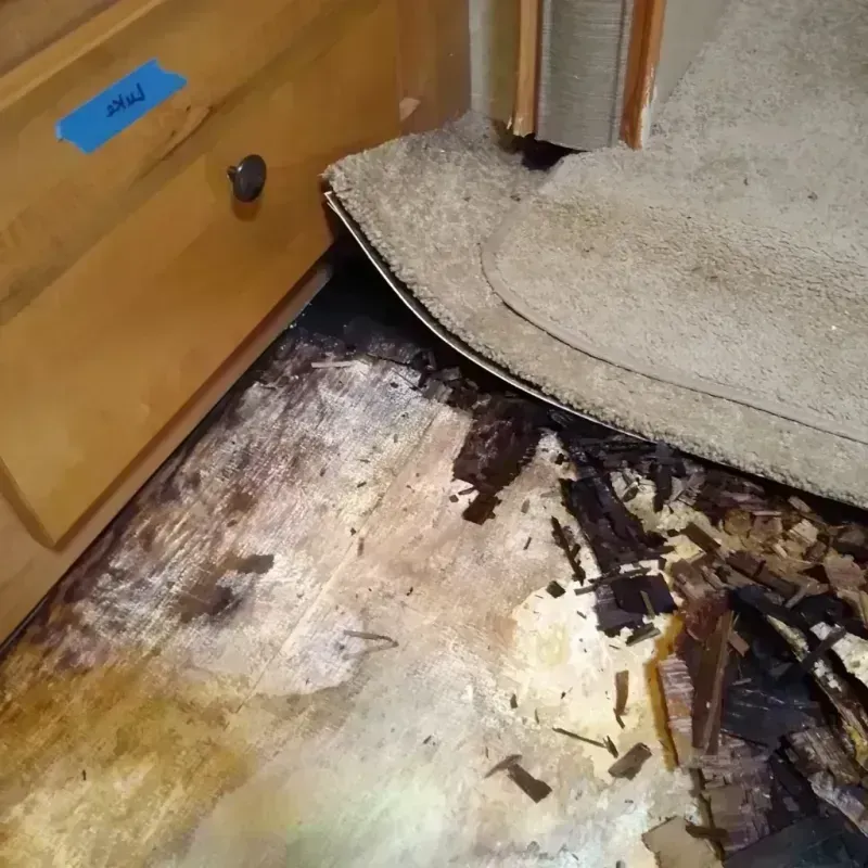 Wood Floor Water Damage in Crestwood, IL